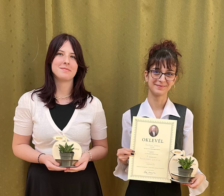 Megyei sikerek Balatonbogláron